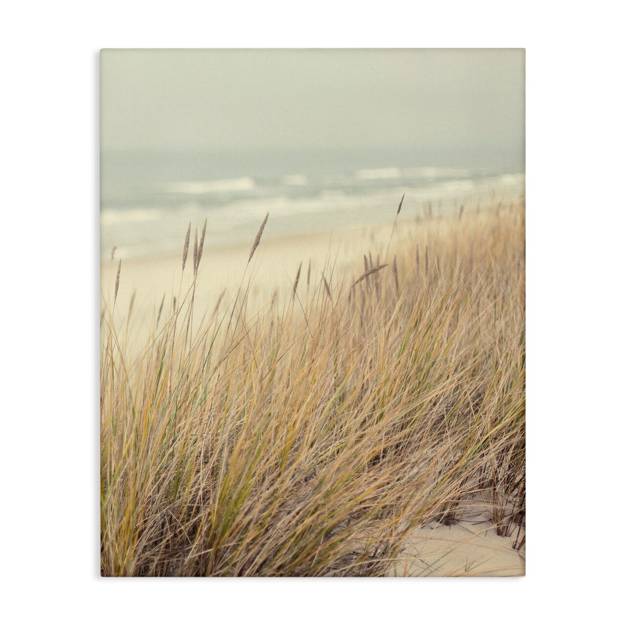 Stupell Industries Beach Dreams Sea Grass Canvas, design by Marcus Prime